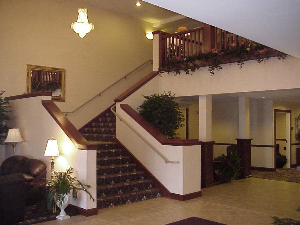 The Plaza Hotel & Suites 威诺纳 内观 照片